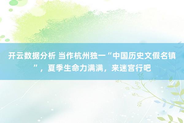 开云数据分析 当作杭州独一“中国历史文假名镇”,夏季生命力满满,来迷宫行吧