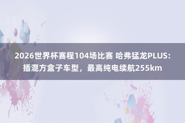 2026世界杯赛程104场比赛 哈弗猛龙PLUS:插混方盒子车型,最高纯电续航255km