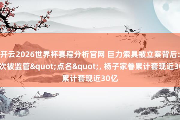 开云2026世界杯赛程分析官网 巨力索具被立案背后: 屡次被监管"点名", 杨子家眷累计套现近30亿