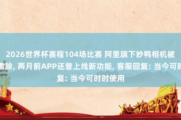 2026世界杯赛程104场比赛 阿里旗下妙鸭相机被曝团队肃除, 两月前APP还曾上线新功能, 客服回复: 当今可时时使用