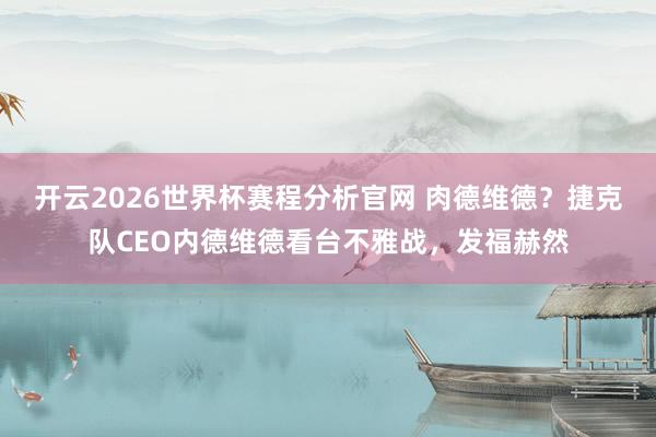 开云2026世界杯赛程分析官网 肉德维德？捷克队CEO内德维德看台不雅战，<a href=