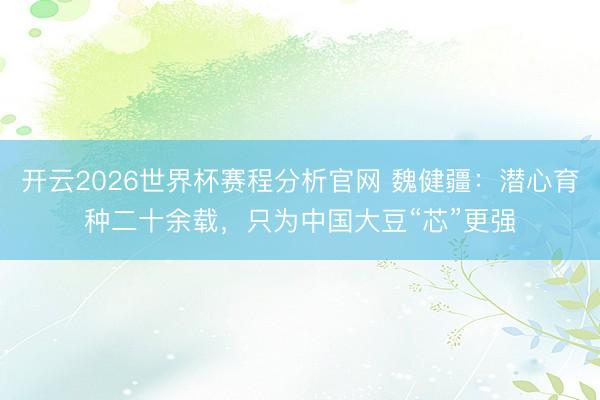 开云2026世界杯赛程分析官网 魏健疆:潜心育种二十余载,只为中国大豆“芯”更强