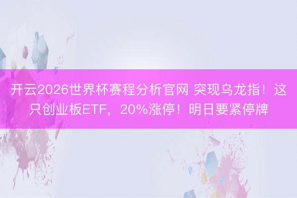 开云2026世界杯赛程分析官网 突现乌龙指！这只创业板ETF，20%涨停！明日要紧停牌