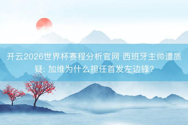 开云2026世界杯赛程分析官网 西班牙主帅遭质疑: 加维为什么担任首发左边锋?